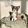 pimprenelle
