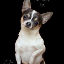 JUST PHANTOM' OREO